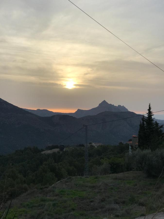 Ca Lidia - Apartamentos Turisticos El Balconet Benimantell Bagian luar foto